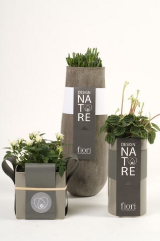 Packaging of plants - Fiori Flowers