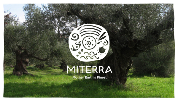 Miterra - What the logo looks like