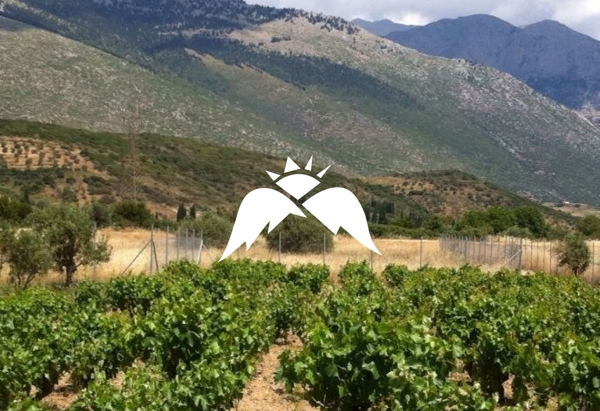 Aggelon Gi Winery Estate
